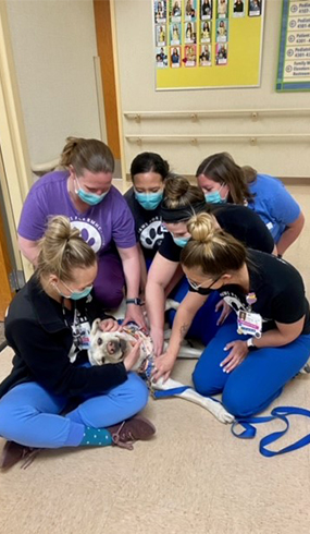 A group of nurses petting a therapy dog in a hospital
